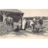 Rare collectable postcards of ALGERIA Algérie Belgique België. Vintage Postcards of ALGERIA Algérie Belgique België