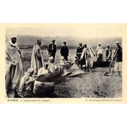 Rare collectable postcards of ALGERIA Algérie Belgique België. Vintage Postcards of ALGERIA Algérie Belgique België