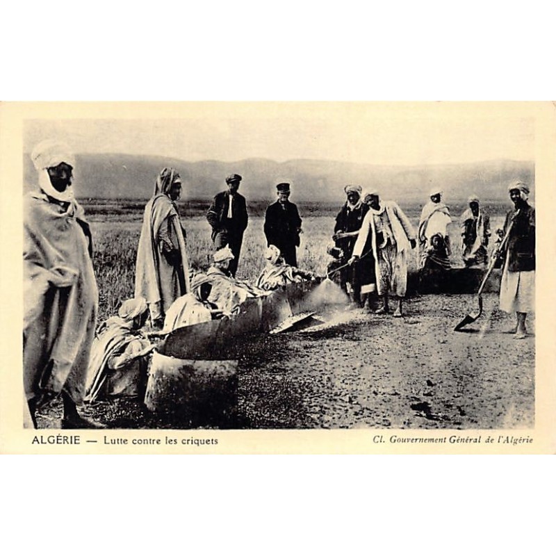 Rare collectable postcards of ALGERIA Algérie Belgique België. Vintage Postcards of ALGERIA Algérie Belgique België