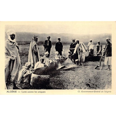 Rare collectable postcards of ALGERIA Algérie Belgique België. Vintage Postcards of ALGERIA Algérie Belgique België
