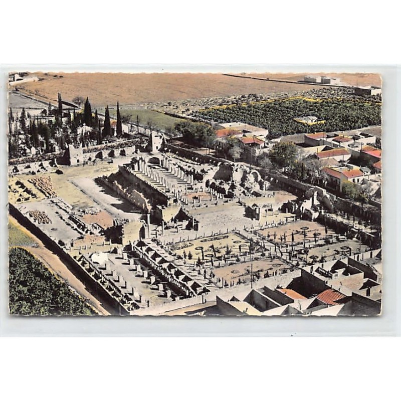 Rare collectable postcards of ALGERIA Algérie Belgique België. Vintage Postcards of ALGERIA Algérie Belgique België
