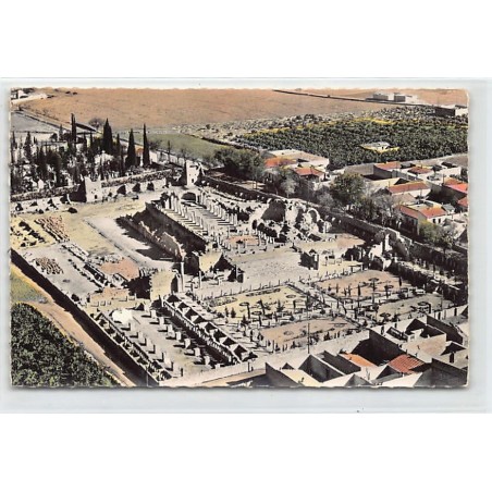 Rare collectable postcards of ALGERIA Algérie Belgique België. Vintage Postcards of ALGERIA Algérie Belgique België