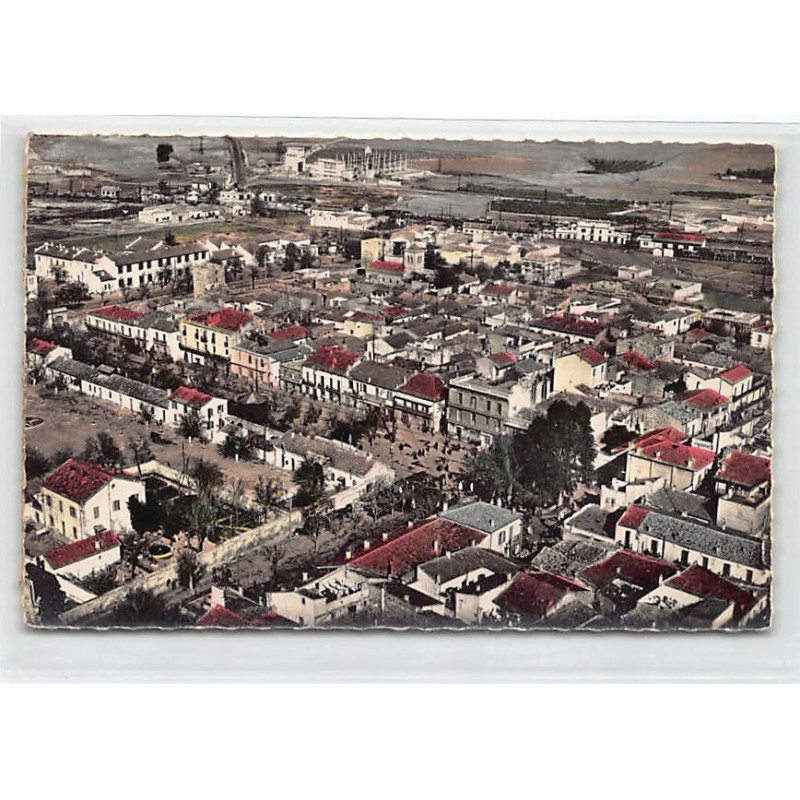 Rare collectable postcards of ALGERIA Algérie Belgique België. Vintage Postcards of ALGERIA Algérie Belgique België