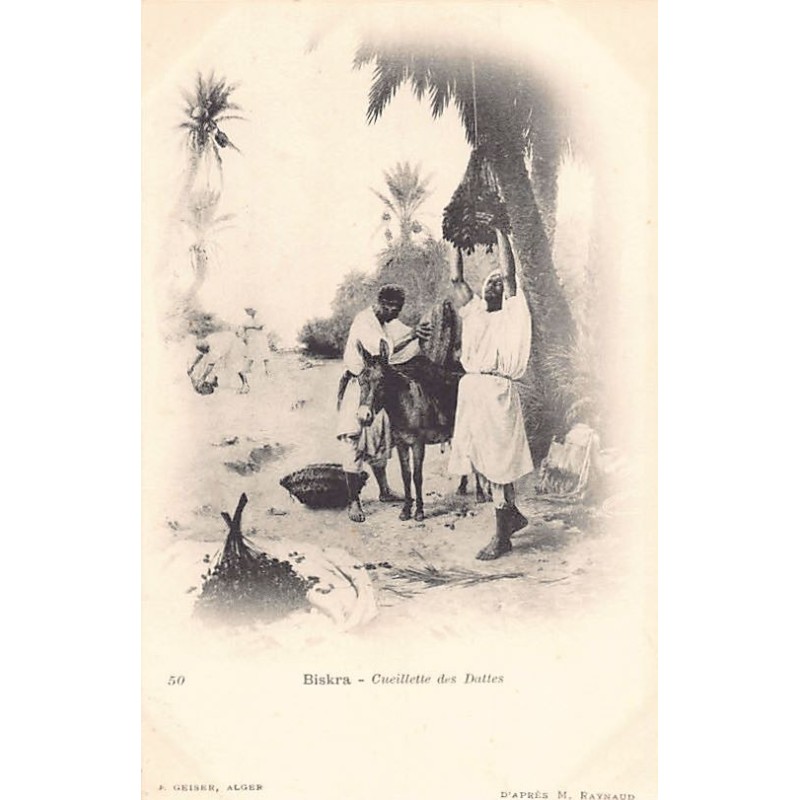 Rare collectable postcards of ALGERIA Algérie Belgique België. Vintage Postcards of ALGERIA Algérie Belgique België