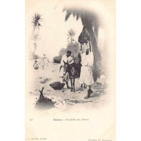 Rare collectable postcards of ALGERIA Algérie Belgique België. Vintage Postcards of ALGERIA Algérie Belgique België