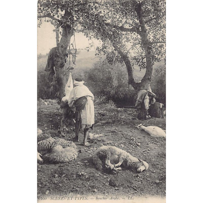 Rare collectable postcards of ALGERIA Algérie Belgique België. Vintage Postcards of ALGERIA Algérie Belgique België