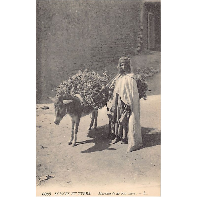 Rare collectable postcards of ALGERIA Algérie Belgique België. Vintage Postcards of ALGERIA Algérie Belgique België