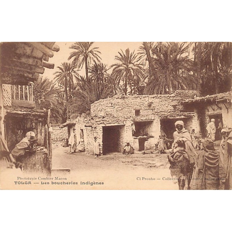 Rare collectable postcards of ALGERIA Algérie Belgique België. Vintage Postcards of ALGERIA Algérie Belgique België