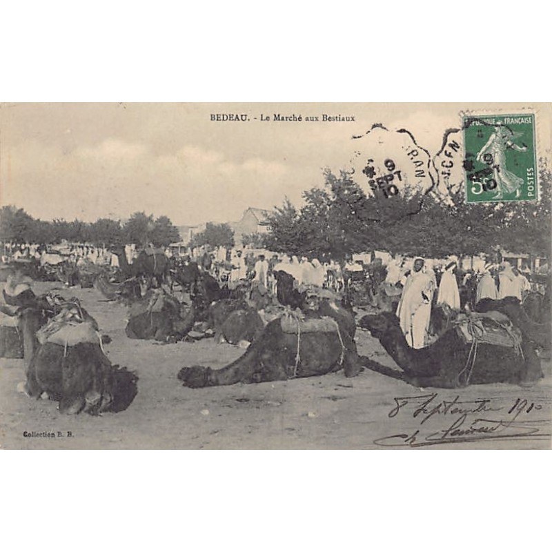 Rare collectable postcards of ALGERIA Algérie Belgique België. Vintage Postcards of ALGERIA Algérie Belgique België