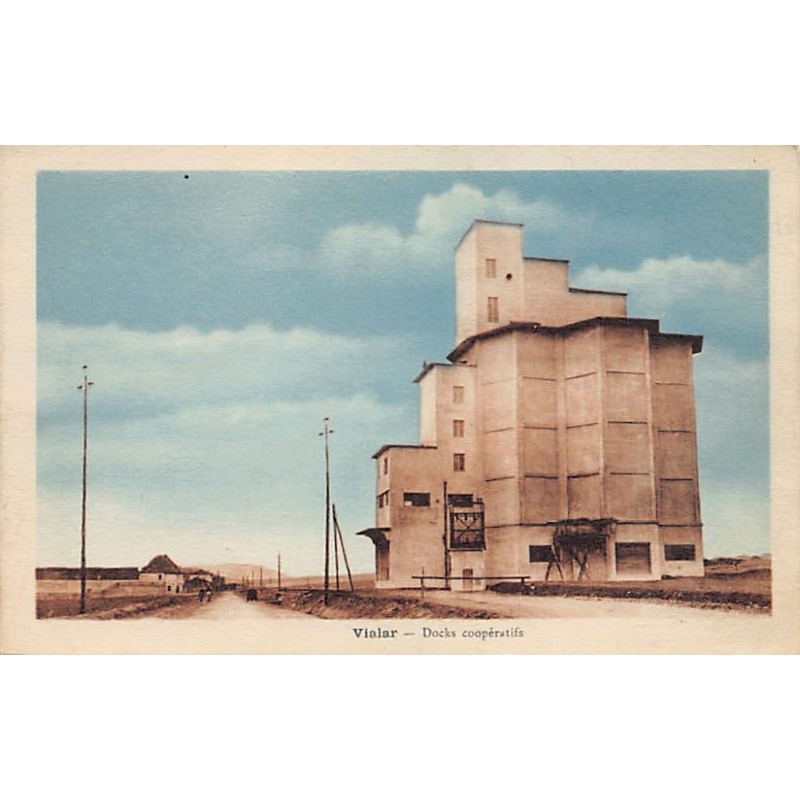 Rare collectable postcards of ALGERIA Algérie Belgique België. Vintage Postcards of ALGERIA Algérie Belgique België