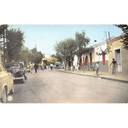 Rare collectable postcards of ALGERIA Algérie Belgique België. Vintage Postcards of ALGERIA Algérie Belgique België