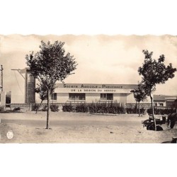 Rare collectable postcards of ALGERIA Algérie Belgique België. Vintage Postcards of ALGERIA Algérie Belgique België