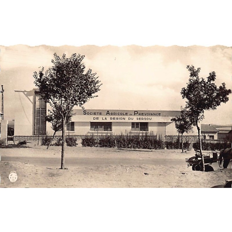 Rare collectable postcards of ALGERIA Algérie Belgique België. Vintage Postcards of ALGERIA Algérie Belgique België