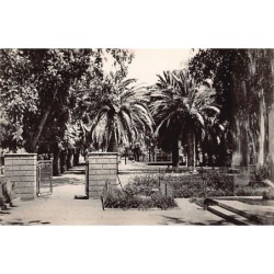 Rare collectable postcards of ALGERIA Algérie Belgique België. Vintage Postcards of ALGERIA Algérie Belgique België