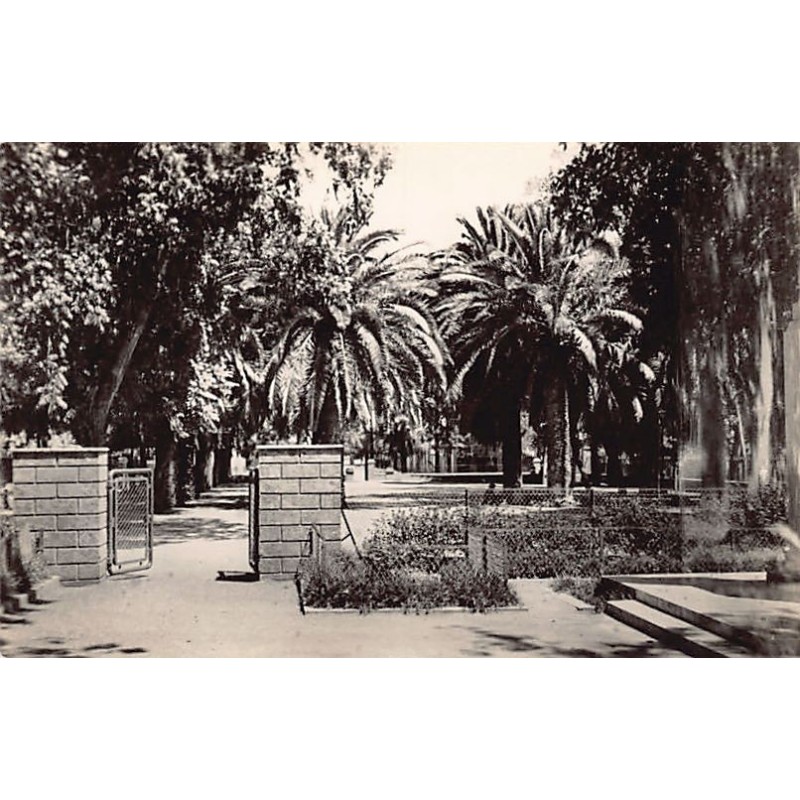 Rare collectable postcards of ALGERIA Algérie Belgique België. Vintage Postcards of ALGERIA Algérie Belgique België