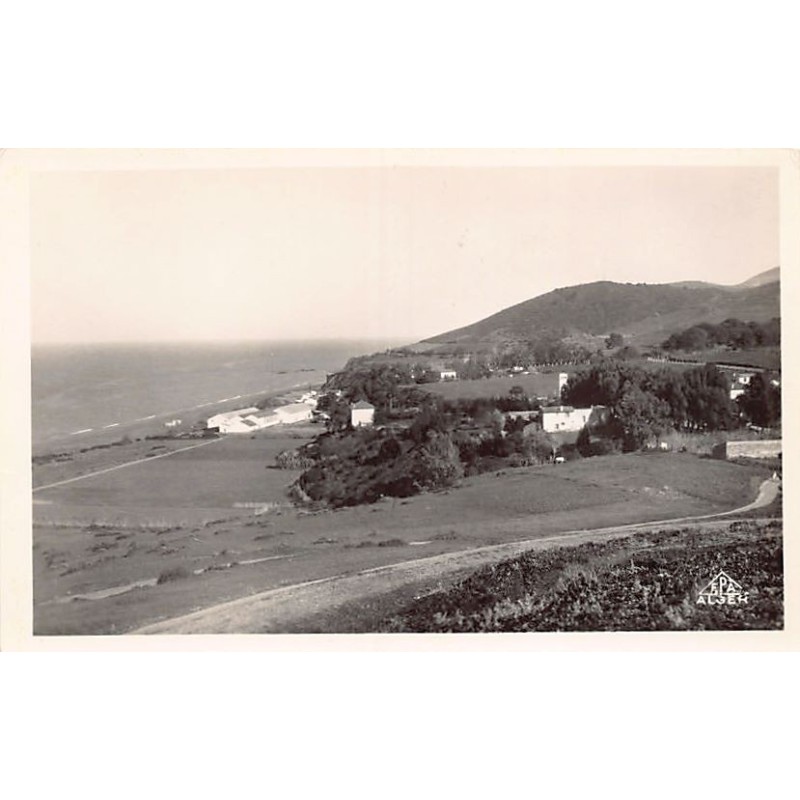 Rare collectable postcards of ALGERIA Algérie Belgique België. Vintage Postcards of ALGERIA Algérie Belgique België