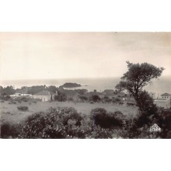 Rare collectable postcards of ALGERIA Algérie Belgique België. Vintage Postcards of ALGERIA Algérie Belgique België