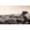 Rare collectable postcards of ALGERIA Algérie Belgique België. Vintage Postcards of ALGERIA Algérie Belgique België