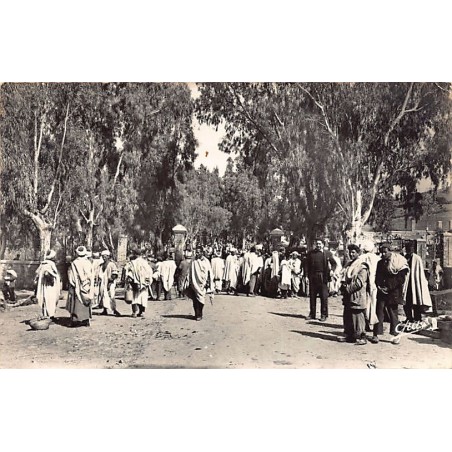 Rare collectable postcards of ALGERIA Algérie Belgique België. Vintage Postcards of ALGERIA Algérie Belgique België