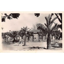 Rare collectable postcards of ALGERIA Algérie Belgique België. Vintage Postcards of ALGERIA Algérie Belgique België