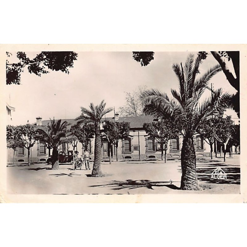 Rare collectable postcards of ALGERIA Algérie Belgique België. Vintage Postcards of ALGERIA Algérie Belgique België