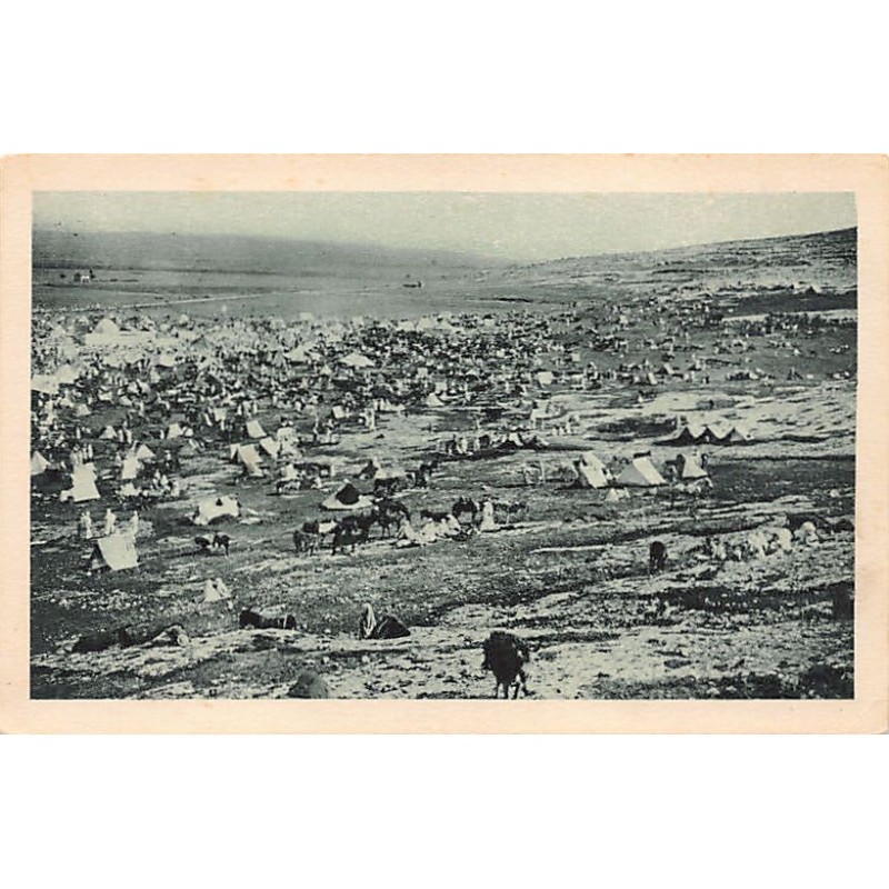 Rare collectable postcards of ALGERIA Algérie Belgique België. Vintage Postcards of ALGERIA Algérie Belgique België