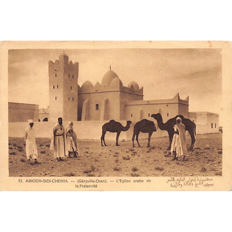 Rare collectable postcards of ALGERIA Algérie Belgique België. Vintage Postcards of ALGERIA Algérie Belgique België