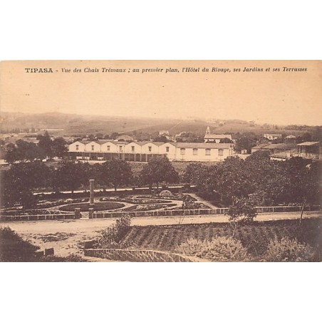 Rare collectable postcards of ALGERIA Algérie Belgique België. Vintage Postcards of ALGERIA Algérie Belgique België