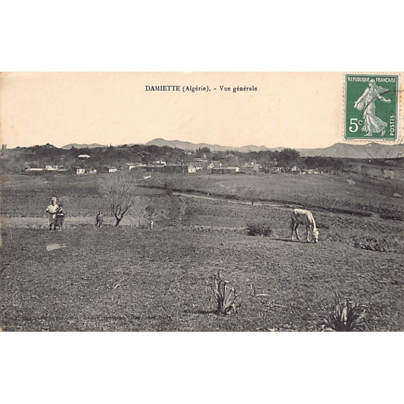 Rare collectable postcards of ALGERIA Algérie Belgique België. Vintage Postcards of ALGERIA Algérie Belgique België