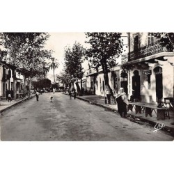 Rare collectable postcards of ALGERIA Algérie Belgique België. Vintage Postcards of ALGERIA Algérie Belgique België