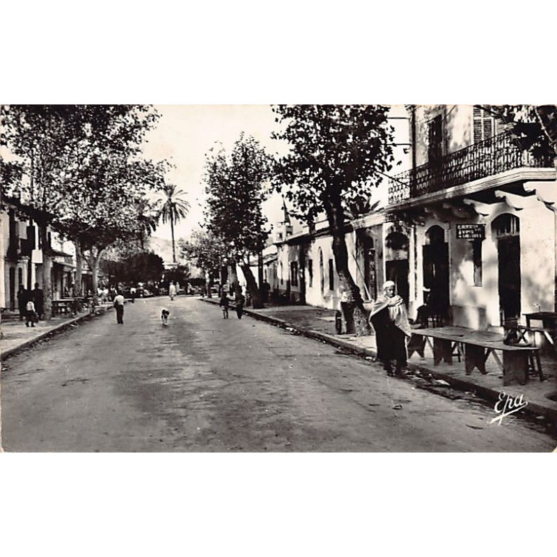 Rare collectable postcards of ALGERIA Algérie Belgique België. Vintage Postcards of ALGERIA Algérie Belgique België