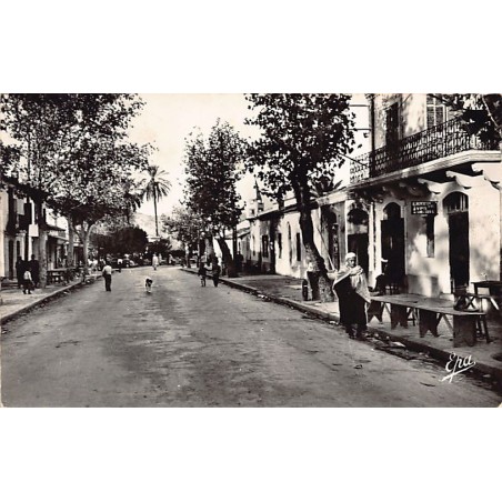 Rare collectable postcards of ALGERIA Algérie Belgique België. Vintage Postcards of ALGERIA Algérie Belgique België