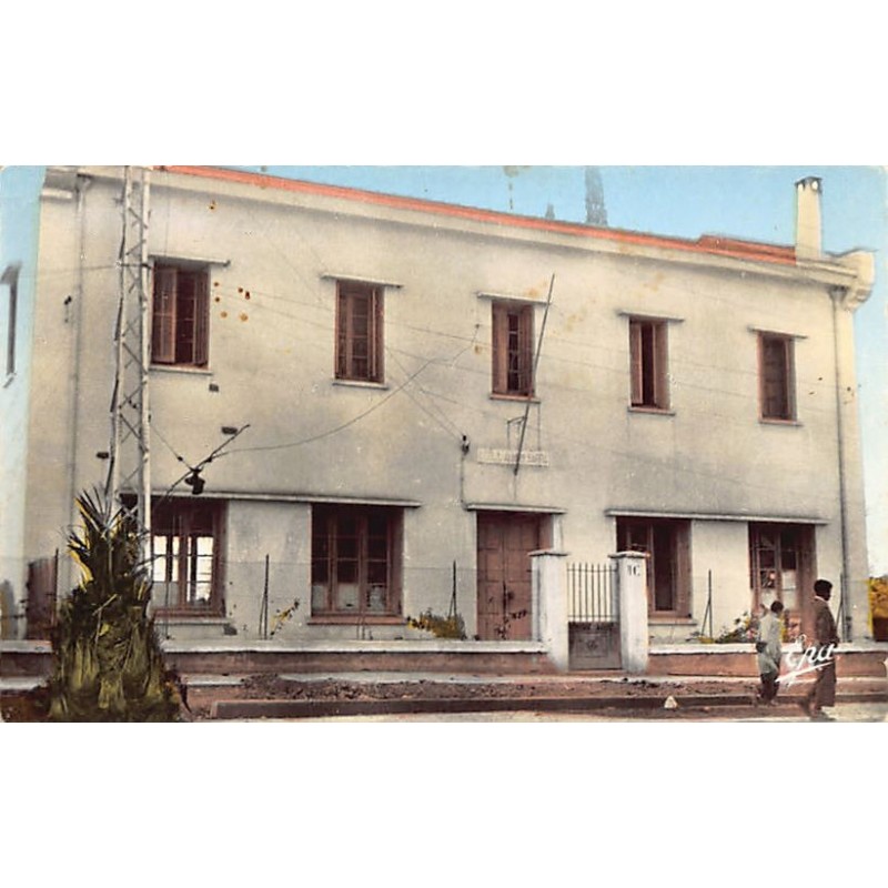 Rare collectable postcards of ALGERIA Algérie Belgique België. Vintage Postcards of ALGERIA Algérie Belgique België
