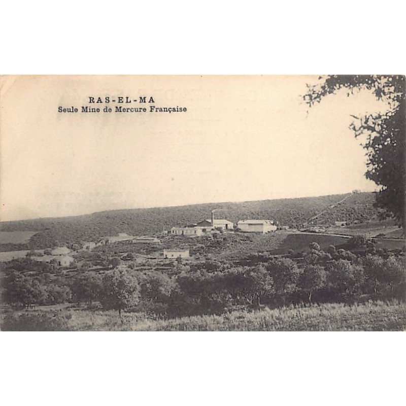 Rare collectable postcards of ALGERIA Algérie Belgique België. Vintage Postcards of ALGERIA Algérie Belgique België