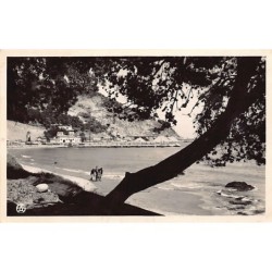 Rare collectable postcards of ALGERIA Algérie Belgique België. Vintage Postcards of ALGERIA Algérie Belgique België