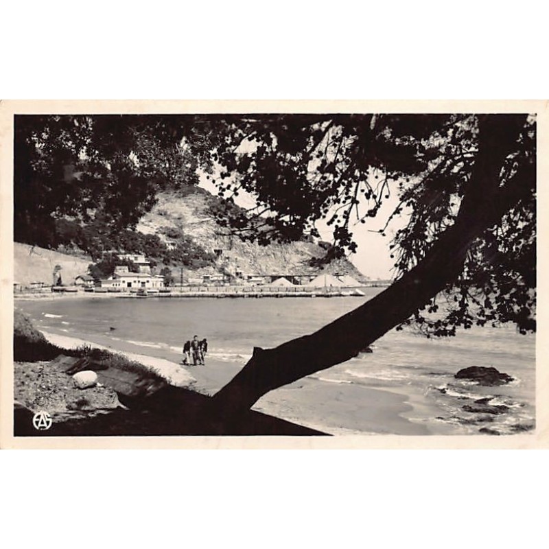 Rare collectable postcards of ALGERIA Algérie Belgique België. Vintage Postcards of ALGERIA Algérie Belgique België