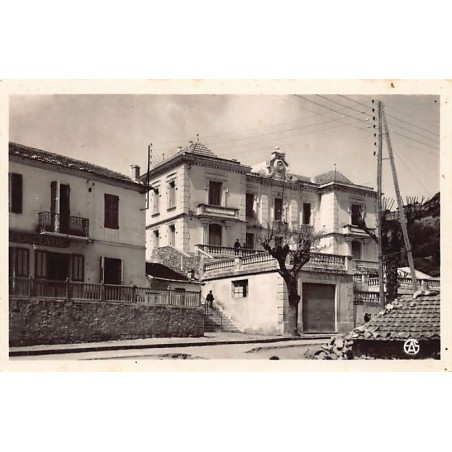 Rare collectable postcards of ALGERIA Algérie Belgique België. Vintage Postcards of ALGERIA Algérie Belgique België