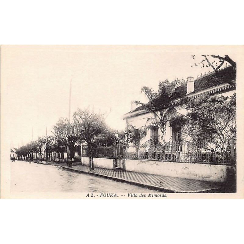 Rare collectable postcards of ALGERIA Algérie Belgique België. Vintage Postcards of ALGERIA Algérie Belgique België