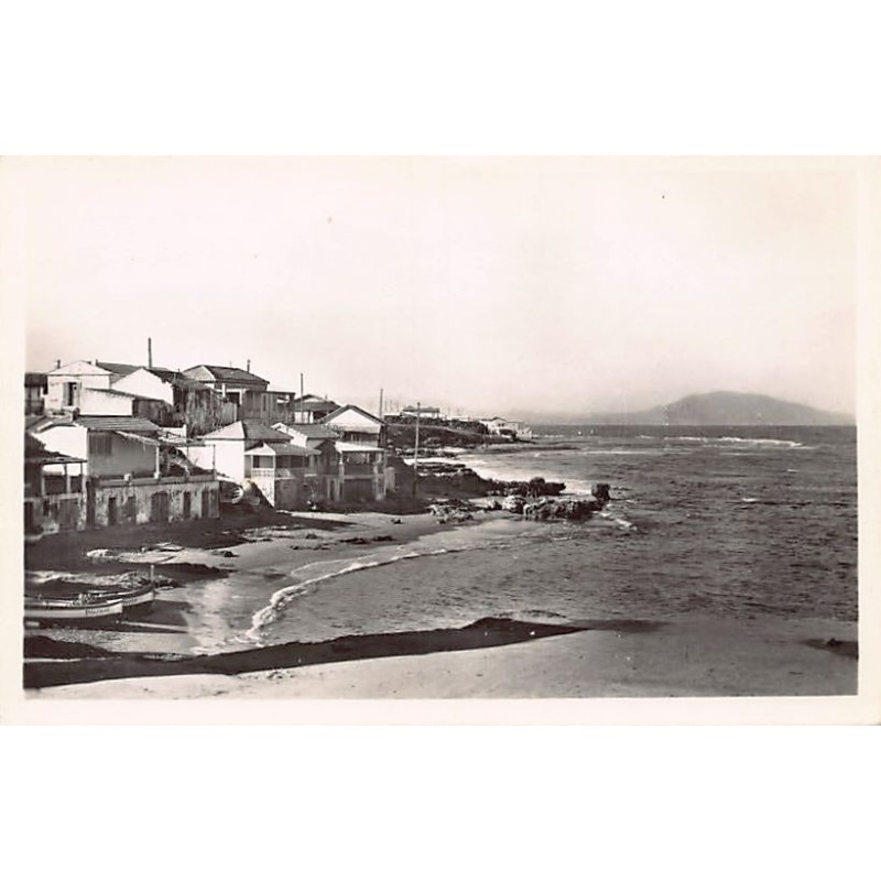 Rare collectable postcards of ALGERIA Algérie Belgique België. Vintage Postcards of ALGERIA Algérie Belgique België