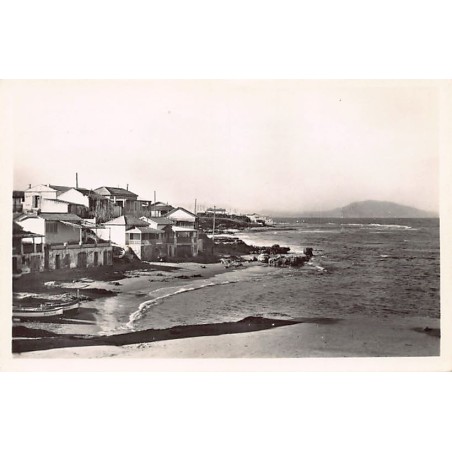 Rare collectable postcards of ALGERIA Algérie Belgique België. Vintage Postcards of ALGERIA Algérie Belgique België