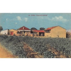 Rare collectable postcards of ALGERIA Algérie Belgique België. Vintage Postcards of ALGERIA Algérie Belgique België