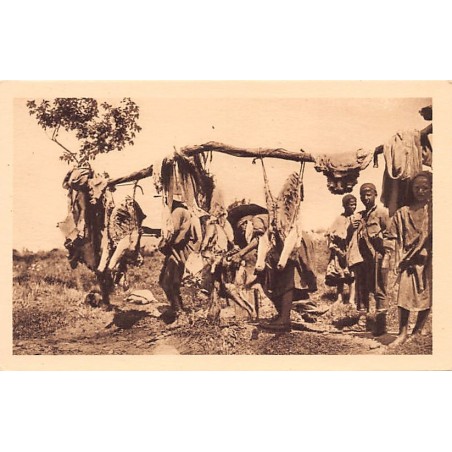 Rare collectable postcards of ALGERIA Algérie Belgique België. Vintage Postcards of ALGERIA Algérie Belgique België