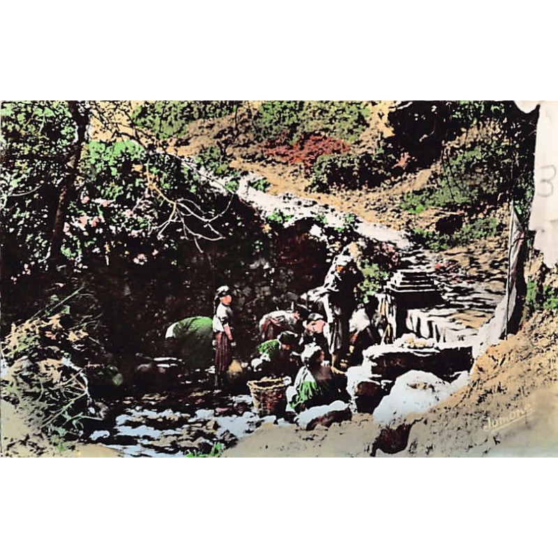 Rare collectable postcards of ALGERIA Algérie Belgique België. Vintage Postcards of ALGERIA Algérie Belgique België