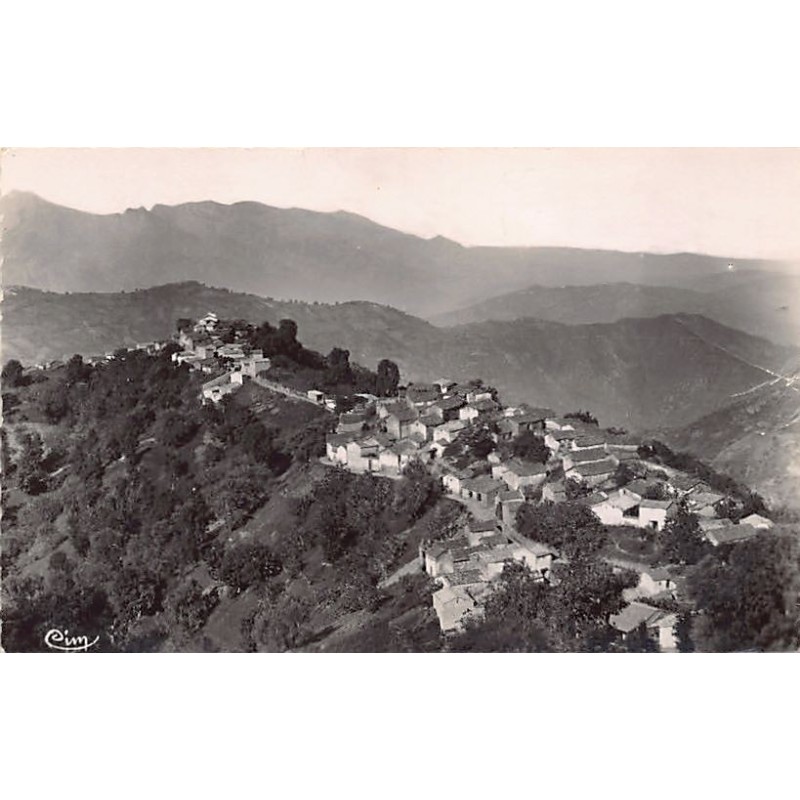 Rare collectable postcards of ALGERIA Algérie Belgique België. Vintage Postcards of ALGERIA Algérie Belgique België