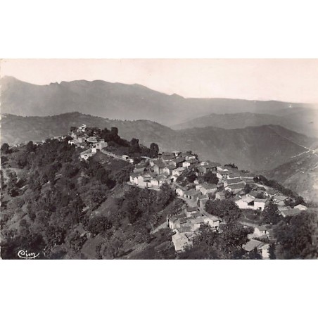 Rare collectable postcards of ALGERIA Algérie Belgique België. Vintage Postcards of ALGERIA Algérie Belgique België