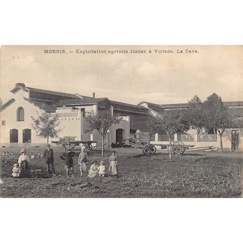 Rare collectable postcards of ALGERIA Algérie Belgique België. Vintage Postcards of ALGERIA Algérie Belgique België