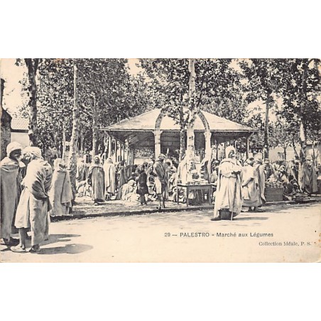 Rare collectable postcards of ALGERIA Algérie Belgique België. Vintage Postcards of ALGERIA Algérie Belgique België