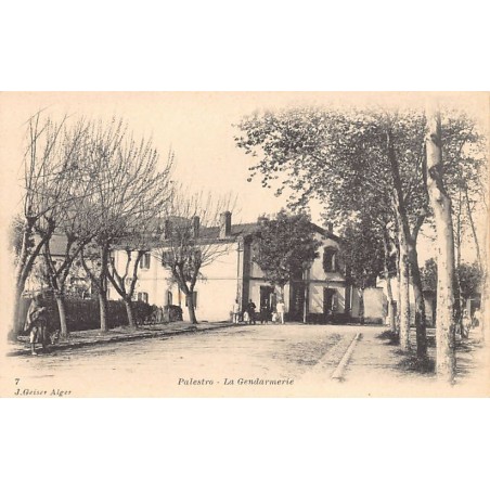 Rare collectable postcards of ALGERIA Algérie Belgique België. Vintage Postcards of ALGERIA Algérie Belgique België