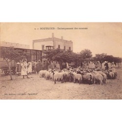 Rare collectable postcards of ALGERIA Algérie Belgique België. Vintage Postcards of ALGERIA Algérie Belgique België