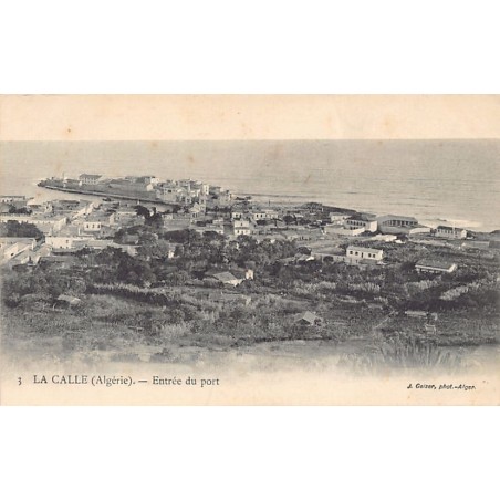 Rare collectable postcards of ALGERIA Algérie Belgique België. Vintage Postcards of ALGERIA Algérie Belgique België